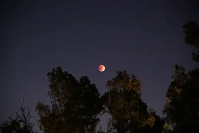 May 2022 - Eclipse